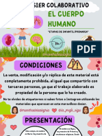 El Cuerpo Humano