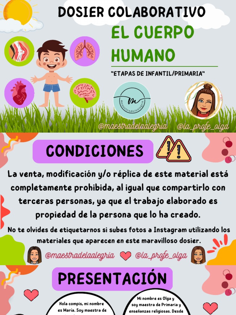 El Cuerpo Humano | PDF | Sangre | Pinturas, image size:768x1024