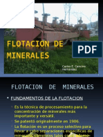 Flotacion de Minerales