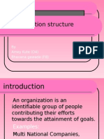 Organisational Structure FINAL