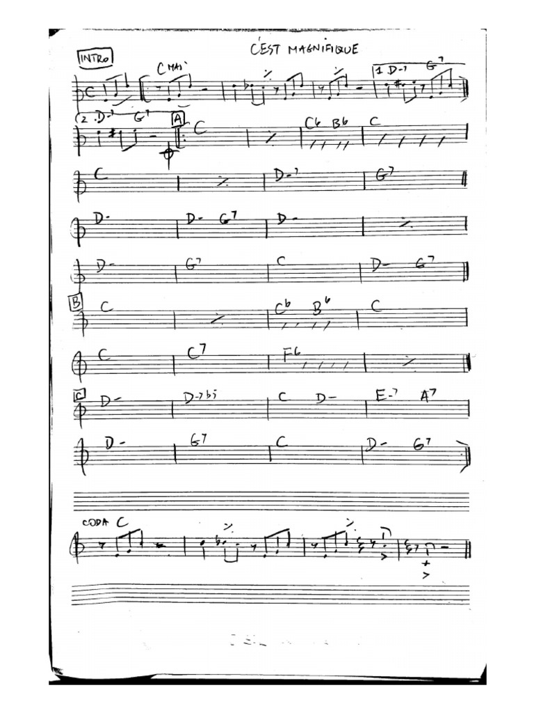 c-est-magnifique-pdf