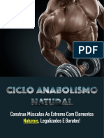 4 Ciclo Anabolismo Natural