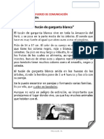 3 Refuerzo de Comunicación Segundo Grado Cbrousset