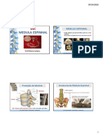 Aula 3 - SNC - Medula Espinhal