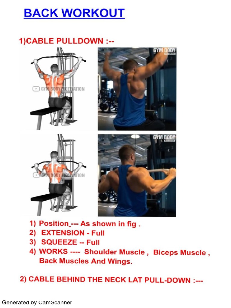 BACK EXERCISES PDF