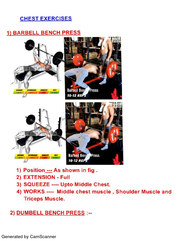 Chest Exercises PDF