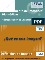 PDF Todo Pib