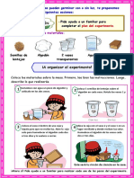 Experimento de Germinación