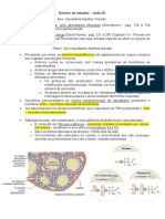 Aula 3 - Roteiro de Estudos