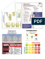 Frecuencia Respiratoria Normal