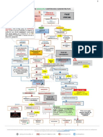 T 60 Mapa Del Procedimiento Ordinario Contencioso Administrativo