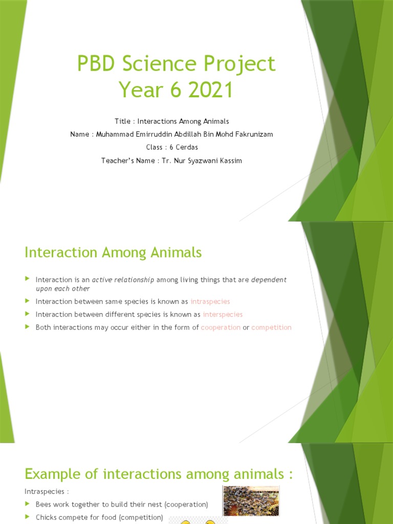 PBD Science Year 6 2021 | PDF