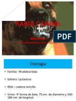 RABIA CANINAfernely