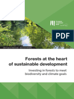 Forests at The Heart of Sustainable Development en