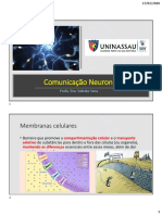 3 - Comunicação Neuronal