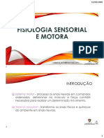 6-Fisiologia Motora e Sensorial