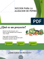 Produccion de Pepino