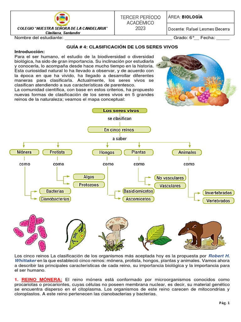 Guía 4 Clasificación Seres Vivos - Reinos | PDF | Plantas | Hongo
