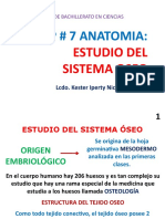 +1 2do PP 1 Estudio Del Sistema Oseo