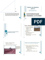 Goiaba A3 - Implant-Conduç-Colheita - 2021