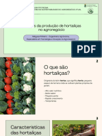 Desafios Da Produção de Hortaliças No Agronegócio - Melyssa Pinheiro - Engenheira Agrônoma