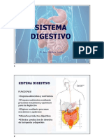 Sistema Digestivo, generalidades del tubo digestivo 2020