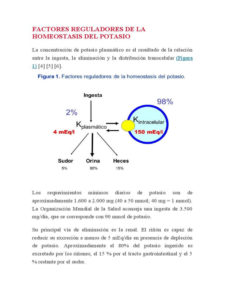 Homeostasis del Potasio: Regulación y Tratamiento | PDF | Potasio | Química