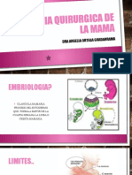 Anatomia Quirurgica de La Mama