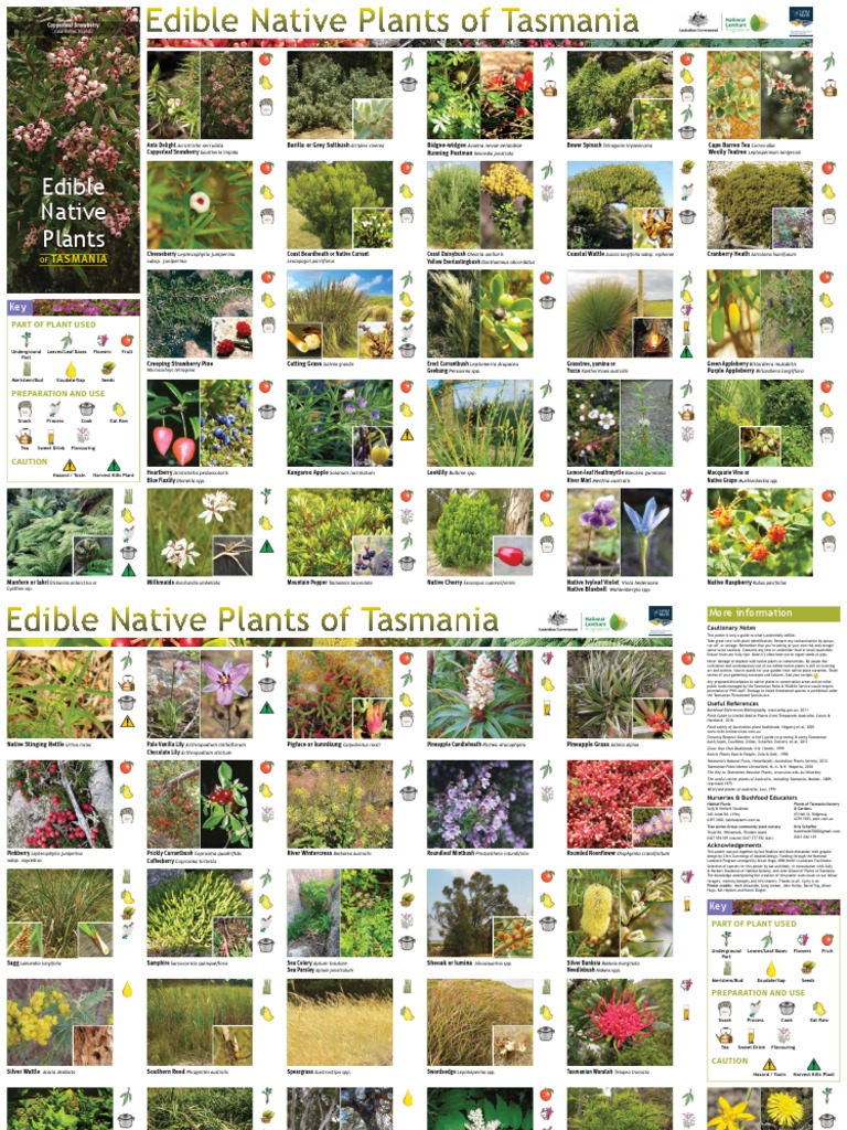 Edible plants of Tasmania PDF