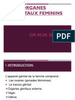 2-Organes Génitaux Féminins - Copie