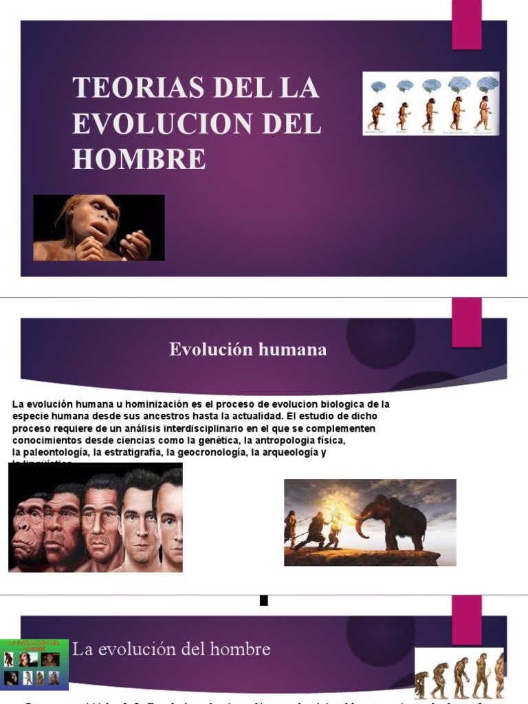 Teorias Del La Evolucion Del Hombre | PDF | Evolución humana | Evolución