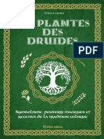 Les Plantes Des Druides Symbolisme Pouvoirs Magiques Et Recettes