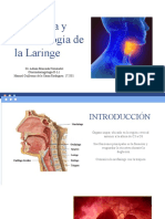 Anatomía y Embriología de La Laringe