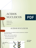 Acidos - Nucleicos Santiago