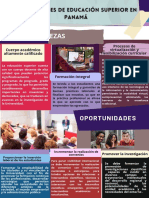 Fortalezas y Oportunidades de Mejoras de Las Instituciones de Educación Superior en Panamá