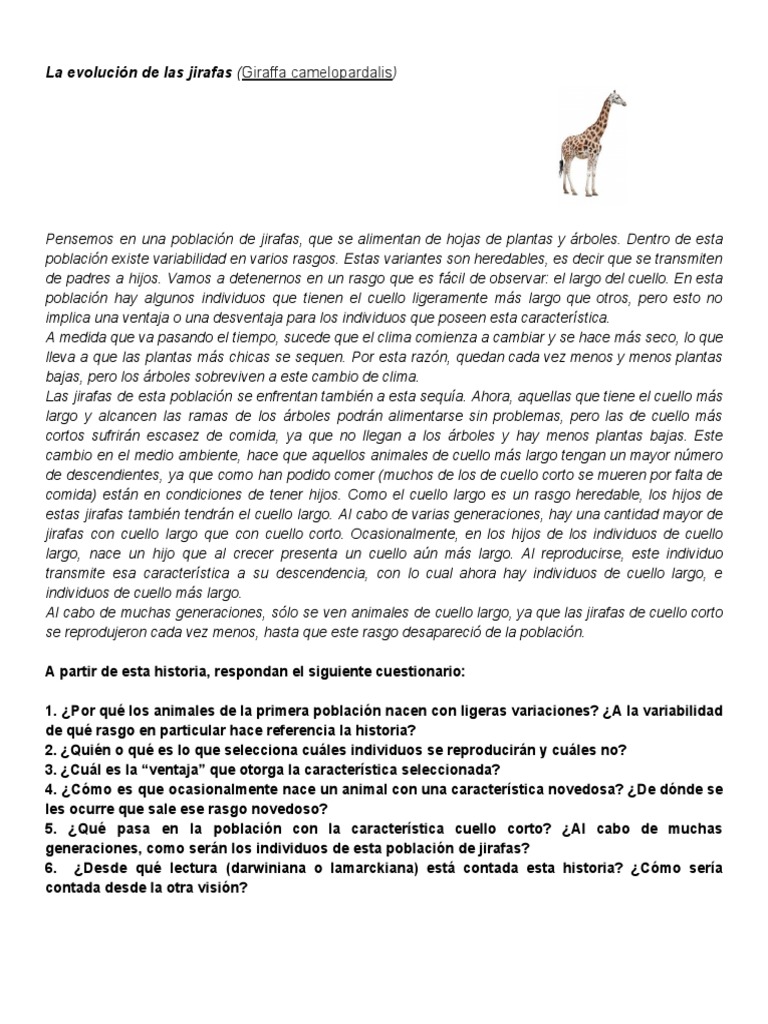 La Evolución De Las Jirafas Pdf Evolución Plantas