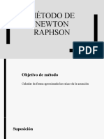 3 Método de Newton Raphson