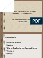 Anatomia Y Fisiologia Del Aparato Reproductor Femenino: Dra. Carmen Sagástegui Ponsignon Ginecoobstetra