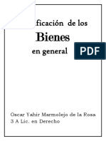 CLAsificacion BIENES