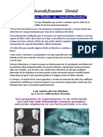 Neurodescodificacion Dental Luis Martinez