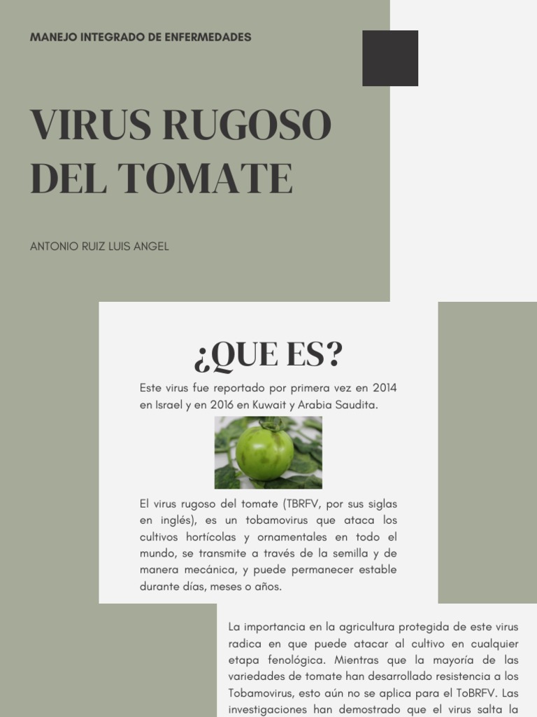 Virus Rugoso Del Tomate | PDF | Ciencia y matemática | Tecnología e ...