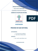 Proceso de Gas Natural PDF