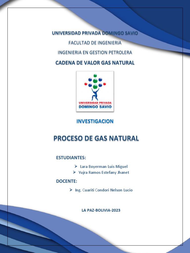 Proceso de Gas Natural PDF | PDF | Depósito de petróleo | Gas natural