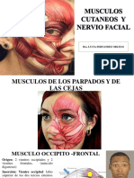 Musculos de La Mimica y Nervio Facial-Teorica-2022 - 230417 - 111017