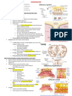 Chemosensation - Study Guide