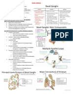 Basal Ganglia - Study Guide