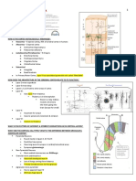 Cortex - Study Guide