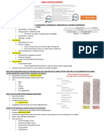 Limbic System - Memory - Study Guide