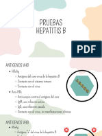 54454040-Pruebas HBV