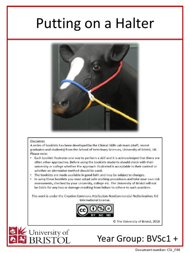 How to Fit a Halter on Livestock | PDF